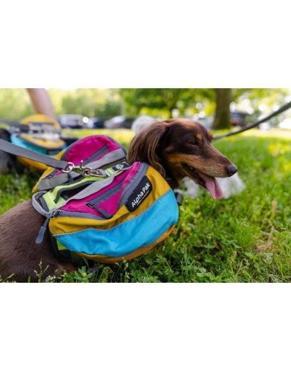 Wanderer Dog Pack (1-piece) - Large