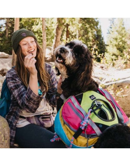 RETRO - Adventurer 2-piece Dog Pack With EZ Latch  Harness - Large