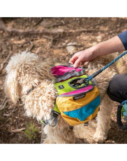 RETRO - Adventurer 2-piece Dog Pack With EZ Latch  Harness - Large