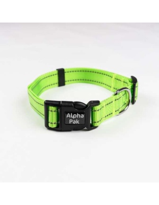 Kiwi Green  - Appalachian Kiwi Green Dog Collar - Small 5/8in wide by 8