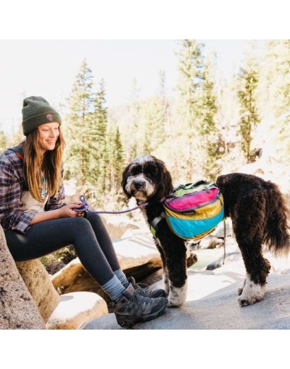 RETRO - Adventurer 2-piece Dog Pack With EZ Latch  Harness - Extra Large