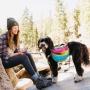 RETRO - Adventurer 2-piece Dog Pack With EZ Latch  Harness - Extra Large