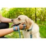 Tidal Pattern Dog Collar - Extra Large 1in wide by 20