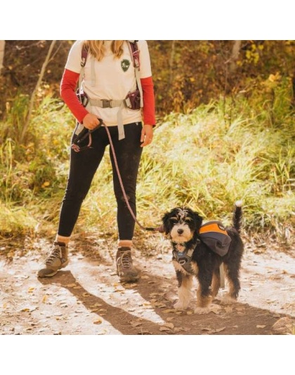 MILE HIGH - Adventurer 2-piece Dog Pack With EZ Latch  Harness - Small