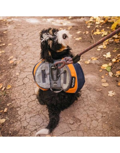 MILE HIGH - Adventurer 2-piece Dog Pack With EZ Latch  Harness - Small