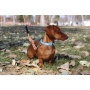 Zion Pattern Dog Collar - Small 5/8in wide by 8