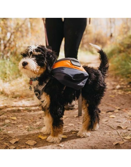 MILE HIGH - Adventurer 2-piece Dog Pack With EZ Latch  Harness - Large