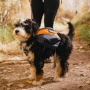 MILE HIGH - Adventurer 2-piece Dog Pack With EZ Latch  Harness - Large