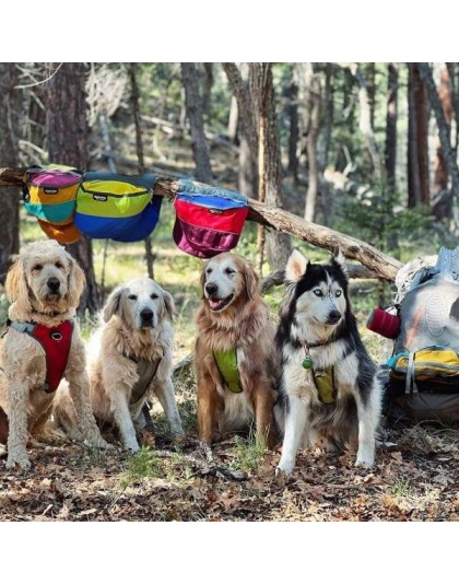 RAIN FOREST - Adventurer 2-piece Dog Pack With EZ Latch  Harness - Extra Large