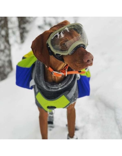 RAIN FOREST - Adventurer 2-piece Dog Pack With EZ Latch  Harness - Extra Large