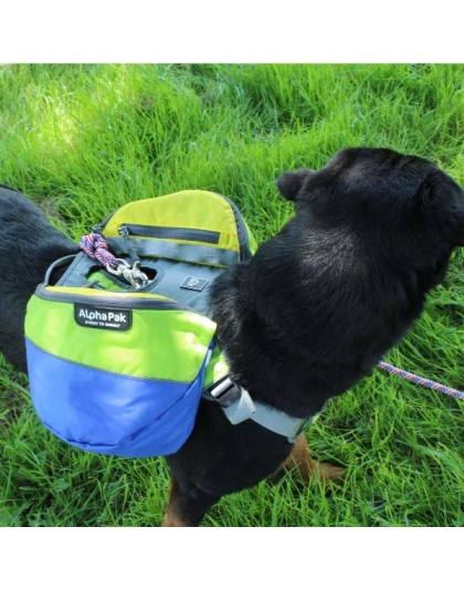 RAIN FOREST - Adventurer 2-piece Dog Pack With EZ Latch  Harness - Extra Large