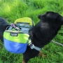 RAIN FOREST - Adventurer 2-piece Dog Pack With EZ Latch  Harness - Extra Large