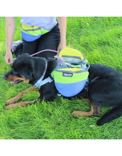 RAIN FOREST - Adventurer 2-piece Dog Pack With EZ Latch  Harness - Extra Large