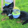 RAIN FOREST - Adventurer 2-piece Dog Pack With EZ Latch  Harness - Extra Large