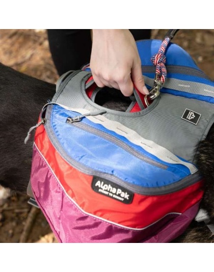 SUNSET - Adventurer 2-piece Dog Pack With EZ Latch  Harness - Small