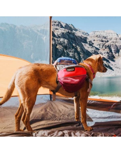 SUNSET - Adventurer 2-piece Dog Pack With EZ Latch  Harness - Small