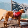 SUNSET - Adventurer 2-piece Dog Pack With EZ Latch  Harness - Small