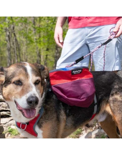 SUNSET - Adventurer 2-piece Dog Pack With EZ Latch  Harness - Extra Large
