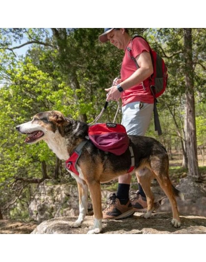 SUNSET - Adventurer 2-piece Dog Pack With EZ Latch  Harness - Extra Large