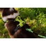Kiwi Green  - Millvue EZ Fit Dog Harness - Small
