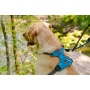 Ocean Blue  - Millvue EZ Fit Dog Harness - Extra Large