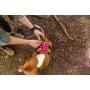 Raspberry Pink  - Millvue EZ Fit Dog Harness - Extra Large