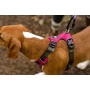 Raspberry Pink  - Millvue EZ Fit Dog Harness - Extra Large