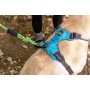 Alpine 10MM Kernmantle Rope Leash - 30 inches