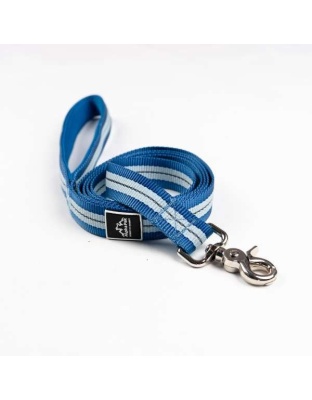 Jazz Blue Flat  - Appalachian Jazz Blue Flat Dog Leash - Small 5/8in. wide by 6ft. long