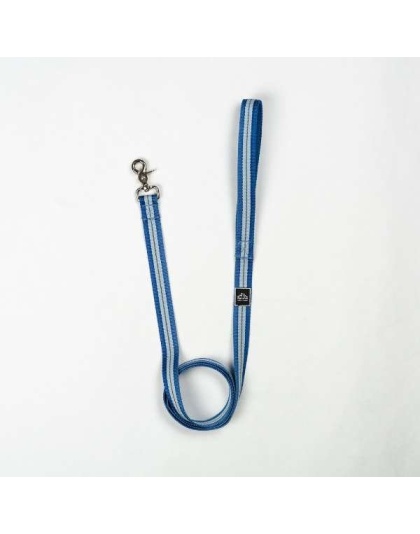 Jazz Blue Flat  - Appalachian Jazz Blue Flat Dog Leash - Small 5/8in. wide by 6ft. long
