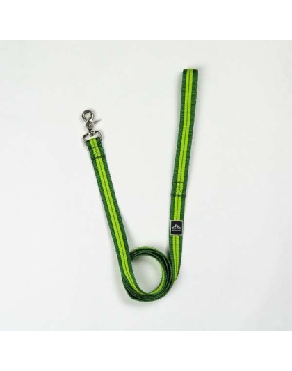 Kiwi Green Flat  - Appalachian Kiwi Green Flat Dog Leash - Large 1in. wide by 6ft. long