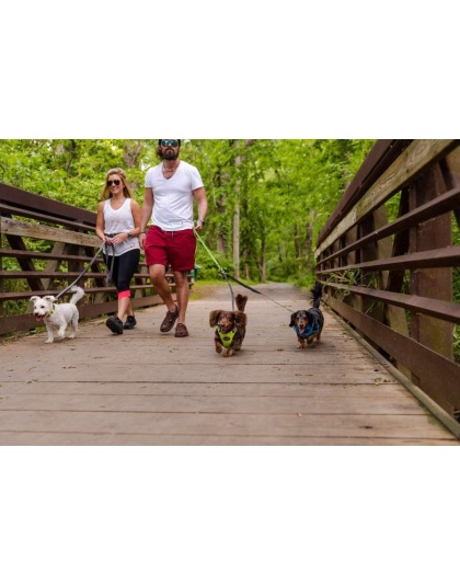 Kiwi Green Flat  - Appalachian Kiwi Green Flat Dog Leash - Large 1in. wide by 6ft. long