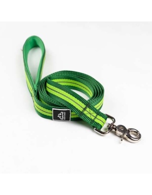 Kiwi Green Flat  - Appalachian Kiwi Green Flat Dog Leash - Small 5/8in. wide by 6ft. long