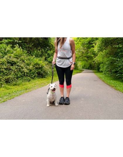 Cascades Graphite Stretchable Runner Dog Leash - 7 to 11 feet when stretched.