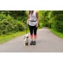 Cascades Graphite Stretchable Runner Dog Leash - 7 to 11 feet when stretched.