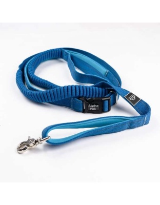 Cascades Metallic Blue Stretchable Runner Dog Leash - 6 to 10 feet when stretched.
