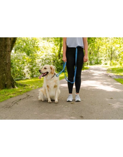Cascades Metallic Blue Stretchable Runner Dog Leash - 6 to 10 feet when stretched.