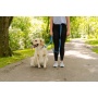 Cascades Metallic Blue Stretchable Runner Dog Leash - 6 to 10 feet when stretched.