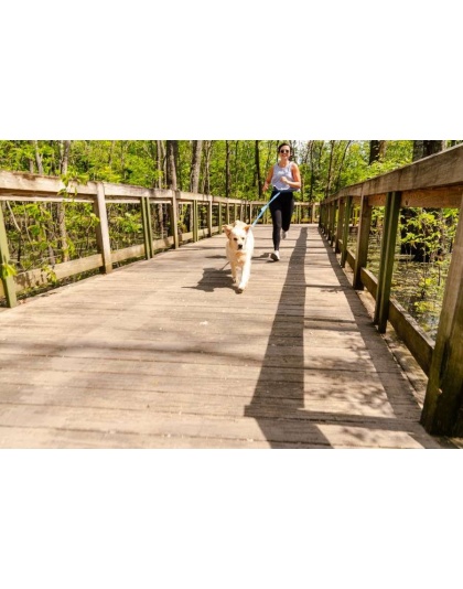 Cascades Metallic Blue Stretchable Runner Dog Leash - 6 to 10 feet when stretched.