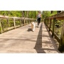 Cascades Metallic Blue Stretchable Runner Dog Leash - 6 to 10 feet when stretched.