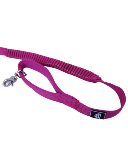 Cascades Plum Boysenberry Stretchable Runner Dog Leash - 6 to 10 feet when stretched.