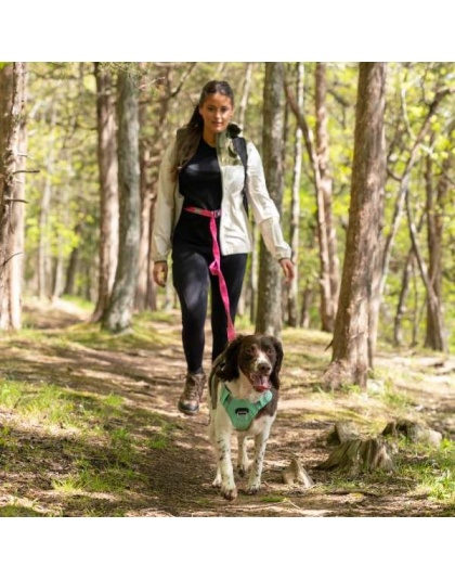 Cascades Plum Boysenberry Stretchable Runner Dog Leash - 6 to 10 feet when stretched.
