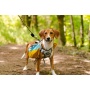 Junction 10MM Kernmantle Rope Leash - 30 inches