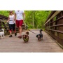 Teton Dark Gray Elastic Dog Leash Coupler - 20 to 30 inches when stretched