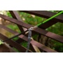 Teton Dark Gray Elastic Dog Leash Coupler - 20 to 30 inches when stretched