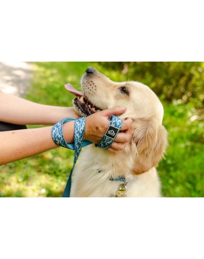 Tidal Pattern Flat Dog Leash - Small 5/8in. wide by 6ft. long