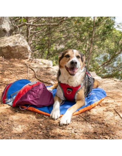 Eclipse Blue Compressible Waterproof Dog Sleeping Mat - Eclipse Blue Sleeping Mat