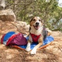 Eclipse Blue Compressible Waterproof Dog Sleeping Mat - Eclipse Blue Sleeping Mat