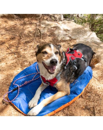 Eclipse Blue Compressible Waterproof Dog Sleeping Mat - Eclipse Blue Sleeping Mat