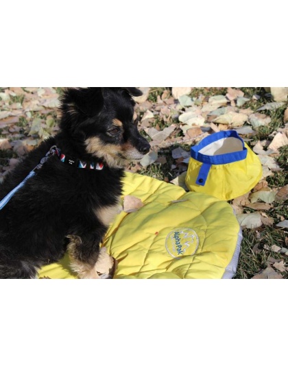Eclipse Yellow Sleeping Mat - Eclipse Yellow Compressible Waterproof Dog Sleeping Mat